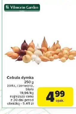 Carrefour Cebula dymka czerwona Vilmorin Garden oferta