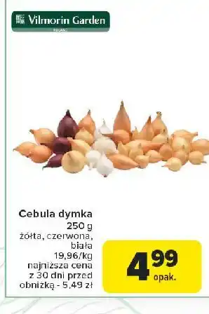 Carrefour Cebula dymka czerwona Vilmorin Garden oferta