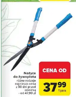 Carrefour Nożyce do żywopłotu oferta