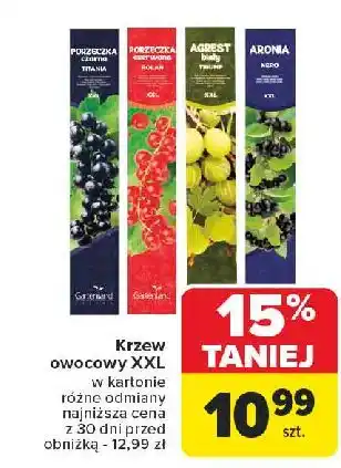 Carrefour Aronia Gartenland oferta