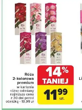 Carrefour Róża dwukolorowa w kartonie oferta