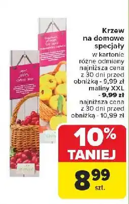 Carrefour Malina w kartonie oferta