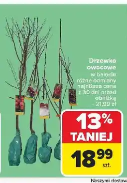 Carrefour Drzewko owocowe oferta