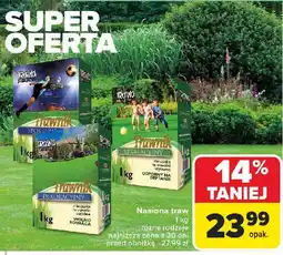 Carrefour Trawnik sportowy Trawa Jak Malowana oferta