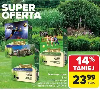 Carrefour Trawnik sportowy Trawa Jak Malowana oferta