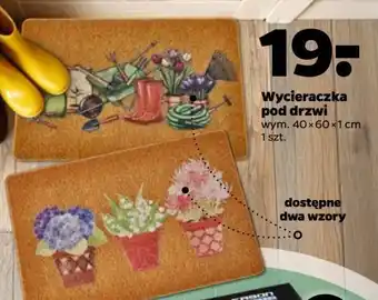 Netto Wycieraczka pod drzwi 60 x 40 cm oferta