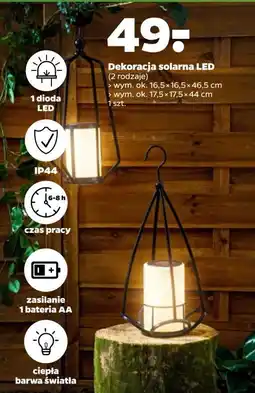 Netto Dekoracja solarna led 17.5 x 44 cm oferta