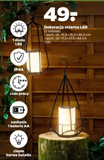 Netto Dekoracja solarna led 17.5 x 44 cm oferta