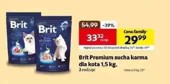 Kakadu Karma dla kota Brit oferta