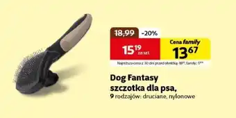 Kakadu Szczotka dla psa Dog Fantasy oferta