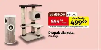 Kakadu Drapak dla kota Family oferta