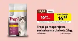 Kakadu Karma dla kota Tropi oferta