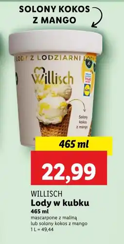 Lidl Lody Willisch oferta