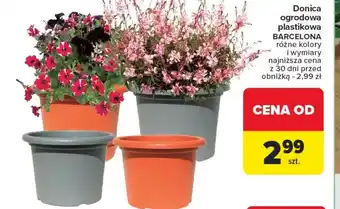 Carrefour Market Donica oferta