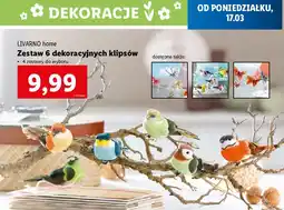 Lidl Dekoracyjne klipsy Livarno Home oferta