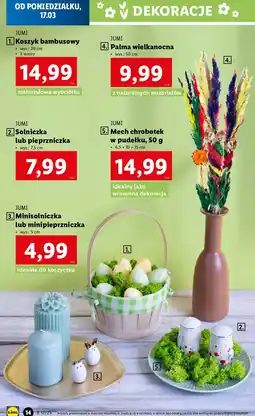 Lidl Mech ozdobny Jumi oferta