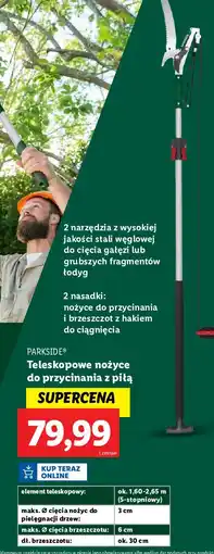 Lidl Teleskopowe nożyce 2w1 i piła do pielęgnacji drzew Parkside oferta