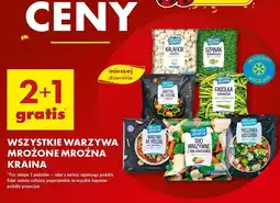 Biedronka Warzywa mrożóna Mroźna Kraina oferta