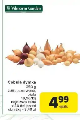 Carrefour Cebula dymka czerwona Vilmorin garden oferta