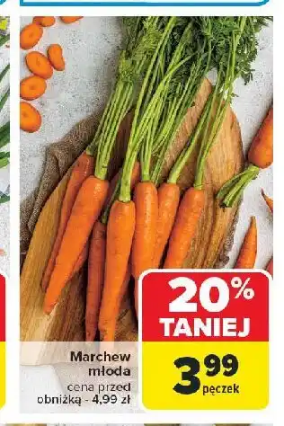 Carrefour Market Marchew młoda oferta