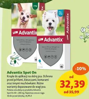 Maxi Zoo Środek na pasożyty dla psa Advantix Spot-On oferta