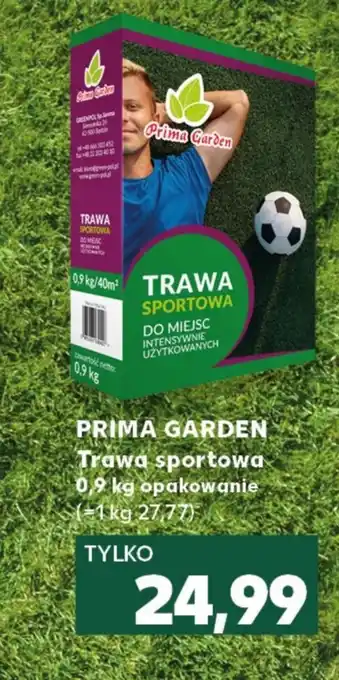 Kaufland Trawa Prima Garden oferta