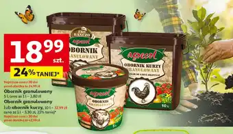 Auchan Obornik oferta