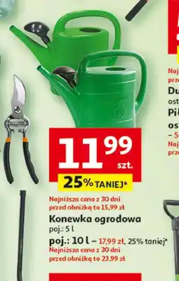 Auchan Konewka oferta