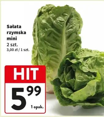 Intermarche Sałata rzymska mini oferta