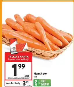 Intermarche Marchew oferta