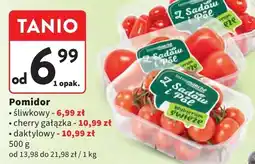 Intermarche Pomidory daktylowe Z Sadów I Pól oferta