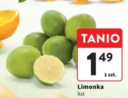 Intermarche Limonka oferta