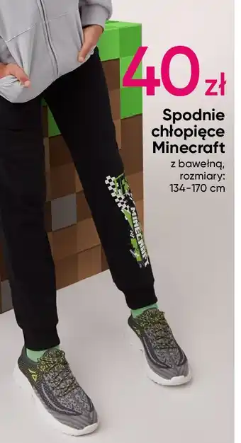 Pepco Spodnie chłopięce minecraft 134-170 cm oferta