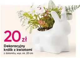 Pepco Królik z kwiatami oferta