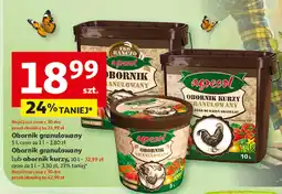 Auchan Obornik kurzy Agrecol oferta