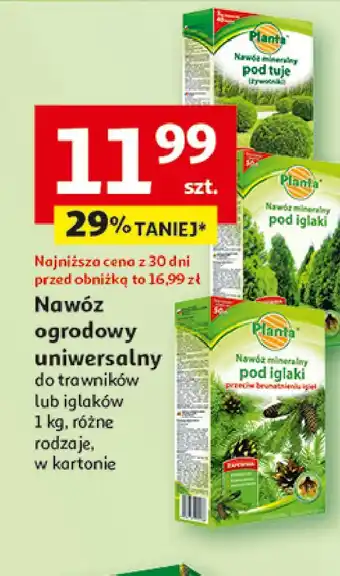 Auchan Nawóz pod tuje żywotniki Planta (Ogrodowe) oferta