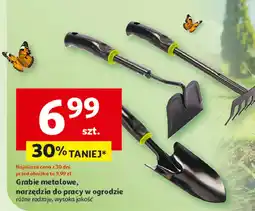 Auchan Motyka oferta