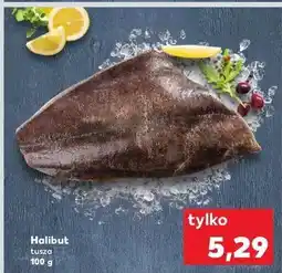 Kaufland Halibut tusza oferta