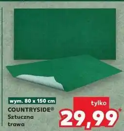 Kaufland Sztuczna trawa 80 x 150 cm K-Classic Countryside oferta