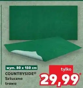 Kaufland Sztuczna trawa 80 x 150 cm K-Classic Countryside oferta