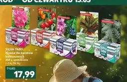 Kaufland Nawóz w tabletkach do roślin balkonowych Silva Tabs oferta