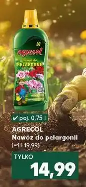 Kaufland Nawoz do pelargonii Agrecol oferta