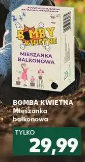 Kaufland Bomba kwietna W. Legutko oferta