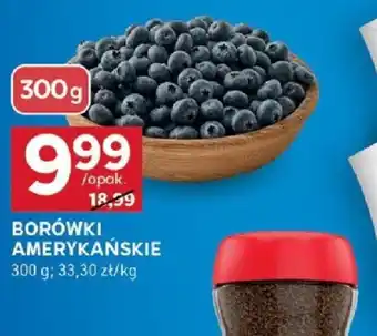 Stokrotka Optima Borówki amerykańskie oferta