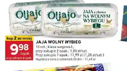 Stokrotka Optima Jaja wolny wybieg Oljajo oferta