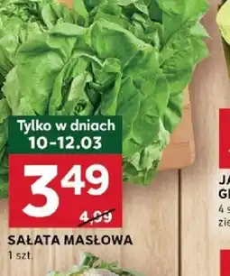 Stokrotka Optima Sałata masłowa oferta