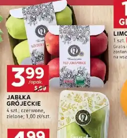 Stokrotka Optima Jabłka Grójeckie oferta