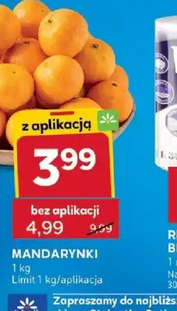 Stokrotka Optima Mandarynki oferta