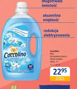 dm drogerie markt Coccolino Płyn do płukania tkanin oferta