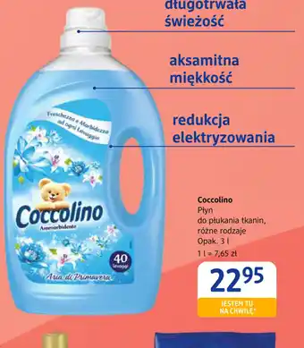 dm drogerie markt Coccolino Płyn do płukania tkanin oferta